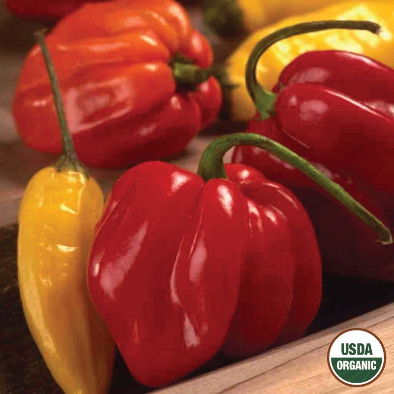 Pepper Habanero Organic Seeds USDA logo