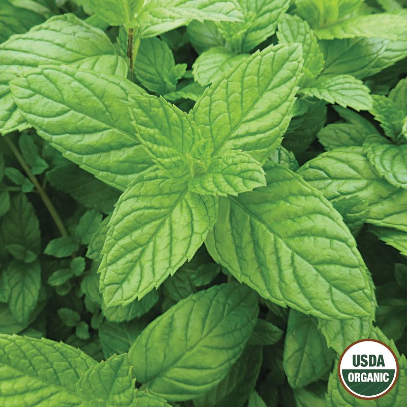 Peppermint Organic Seeds USDA logo