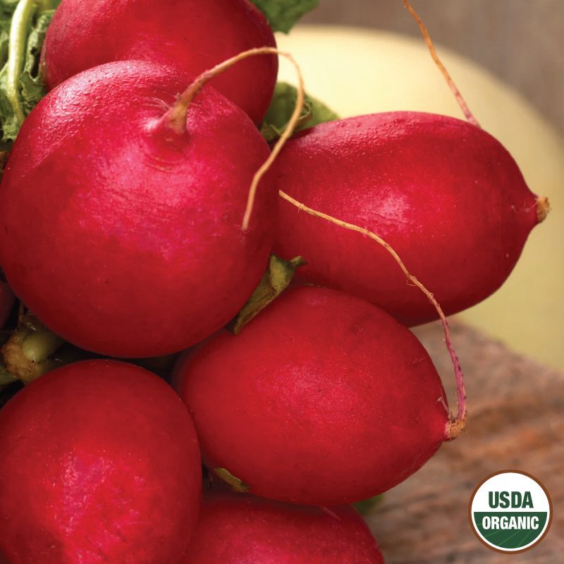 Radish Champion Organic Seeds USDA logo