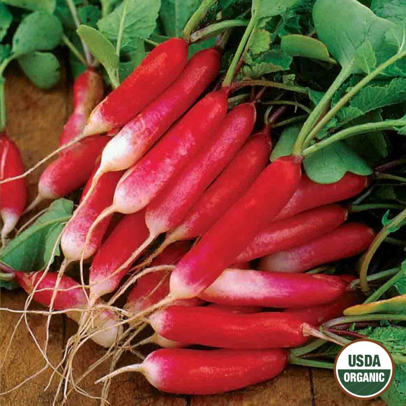 Radish French Breakfast Organic Seeds USDA logo