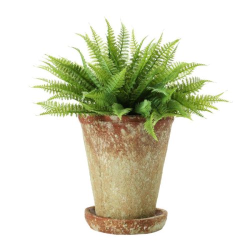 Round Terracotta Cement Planter with Saucer Lifestyle