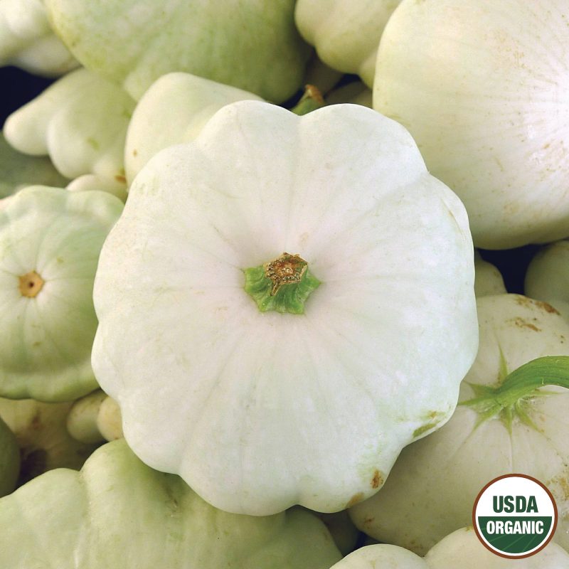 Squash Early White Bush Scallop Organic Seeds USDA logo