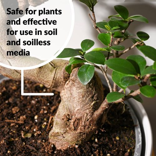 Superthrive Bonsai safe for soil or soilless info4