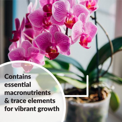 Superthrive Orchid essential for vibrant growth