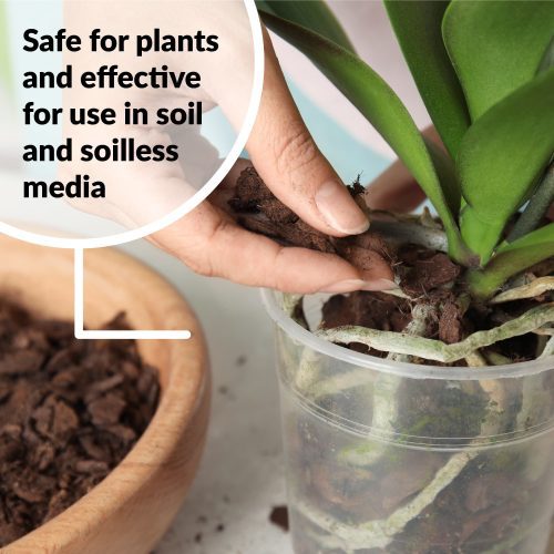 Superthrive Orchid safe for soil or soilless