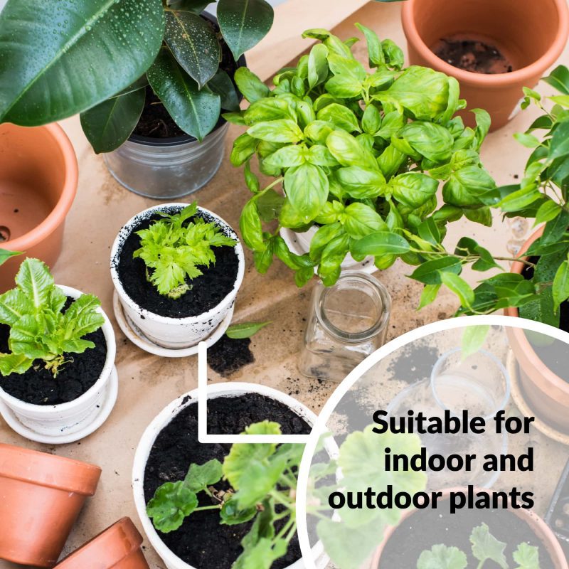 Superthrive for indoor outdoor plants