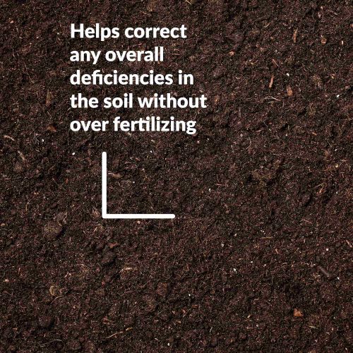 Superthrive helps soil 2000