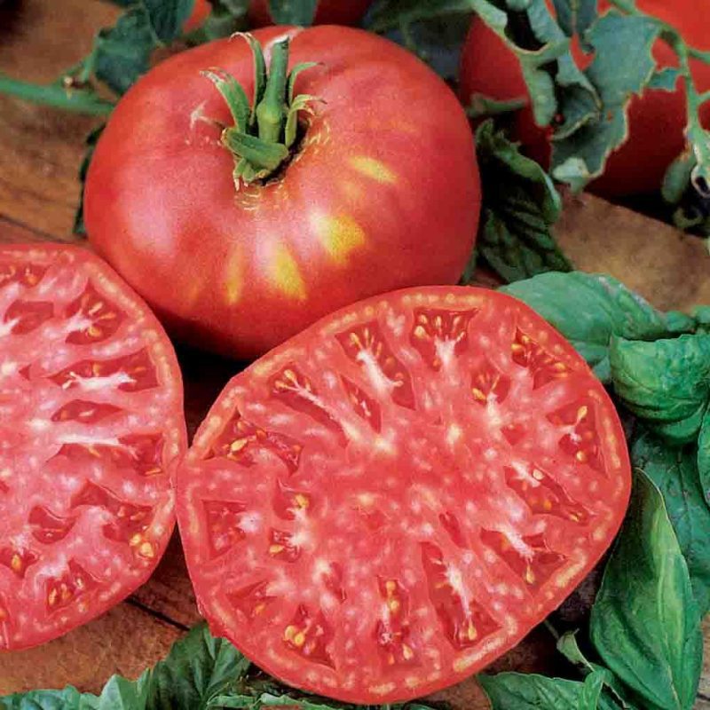 Tomato Brandywine Pink Fruited Vegetable Ferry Morse