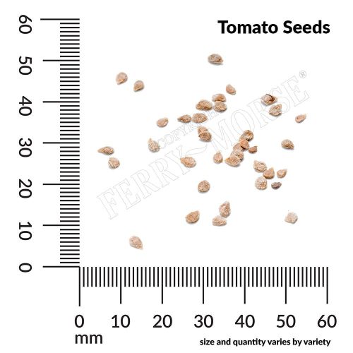 Tomato Seeds Spill