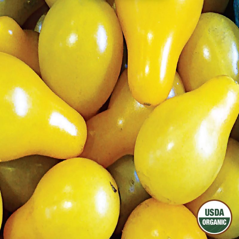 Tomato Yellow Pear Organic Seeds USDA logo