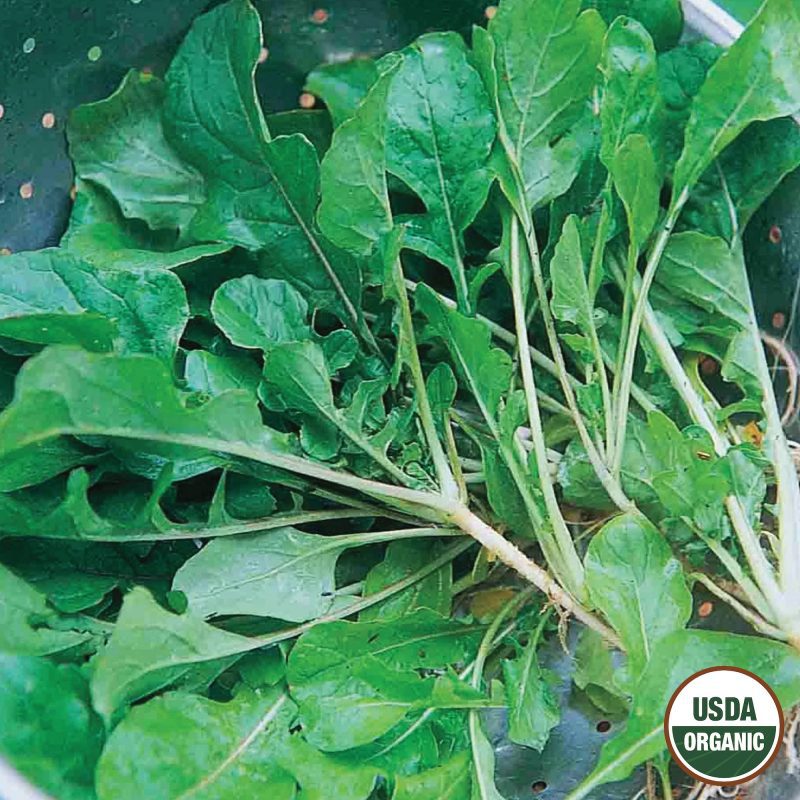 Turnip Seven Top Organic Seeds USDA logo