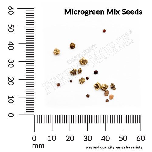 V Microgreen Mix Seeds measurement