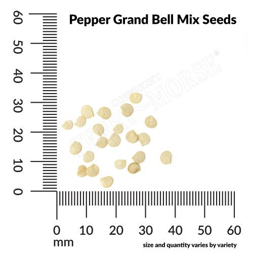 V Pepper Grand Bell Mix Seeds