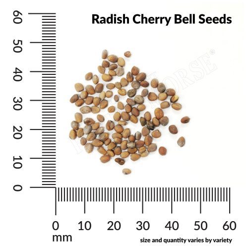 V Radish Cherry Bell Seeds