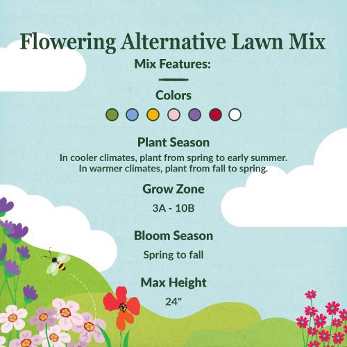 WF 00 Flowering Alternative Lawn Mix Feature summary Compressed