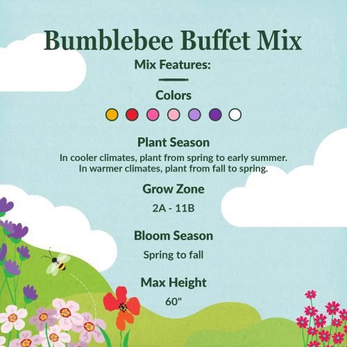 WF 03 Bumblebee Buffet Mix Feature summary 02 Compressed