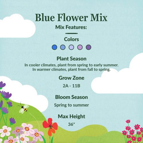 WF 07 Blue Flower Mix Feature summary Compressed