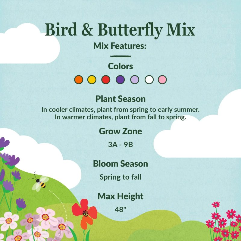 WF 09 Bird and Butterfly Mix Feature summary Compressed