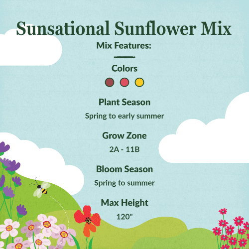 WF 14 Sunsational Sunflower Mix Mix Feature summary