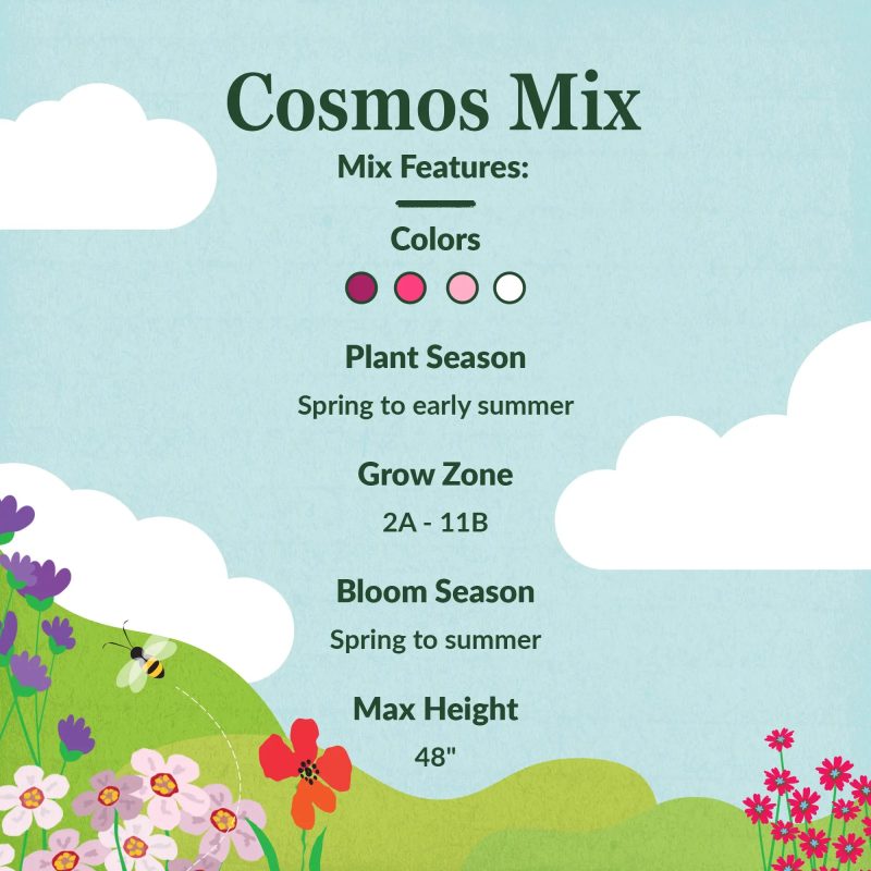 WF 15 Cosmos Mix Feature summary Compressed