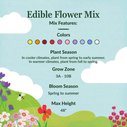 WF 21 Edible Flower Mix Feature summary 02 Compressed