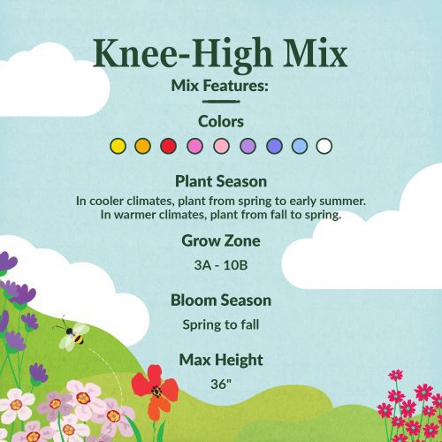 WF 27 Knee High Mix Feature summary 02 Compressed