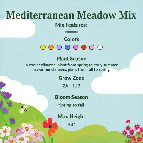 WF 31 Mediterranean Meadow Mix Feature summary v