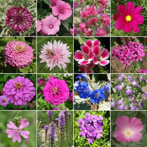 WF 40 Pink Purple Flower Mix Variety Grid 02 Compressed