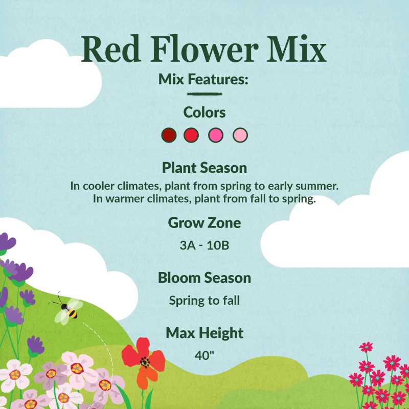 WF 41 Red Flower Mix Feature summary Compressed