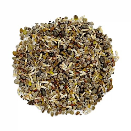 WF 42 Red White Blue Flower Mix Seed Spill Compressed