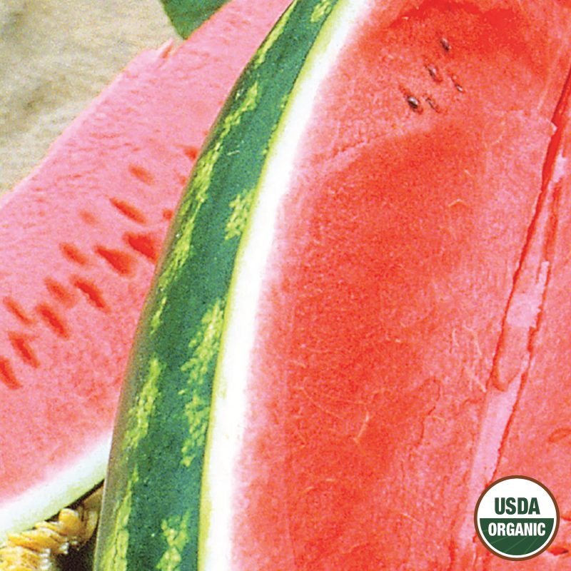 Watermelon Congo Organic Seeds USDA logo