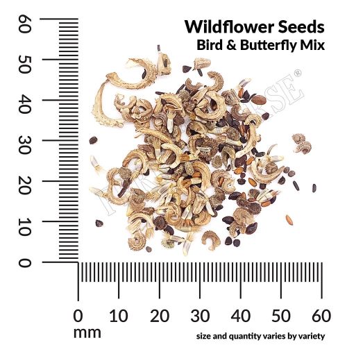 Wildflower Bird Butterfly Seed Spill