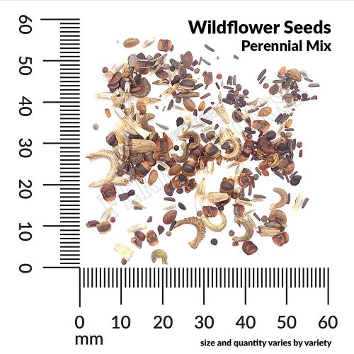 Wildflower Perennial Mix Seeds Spill